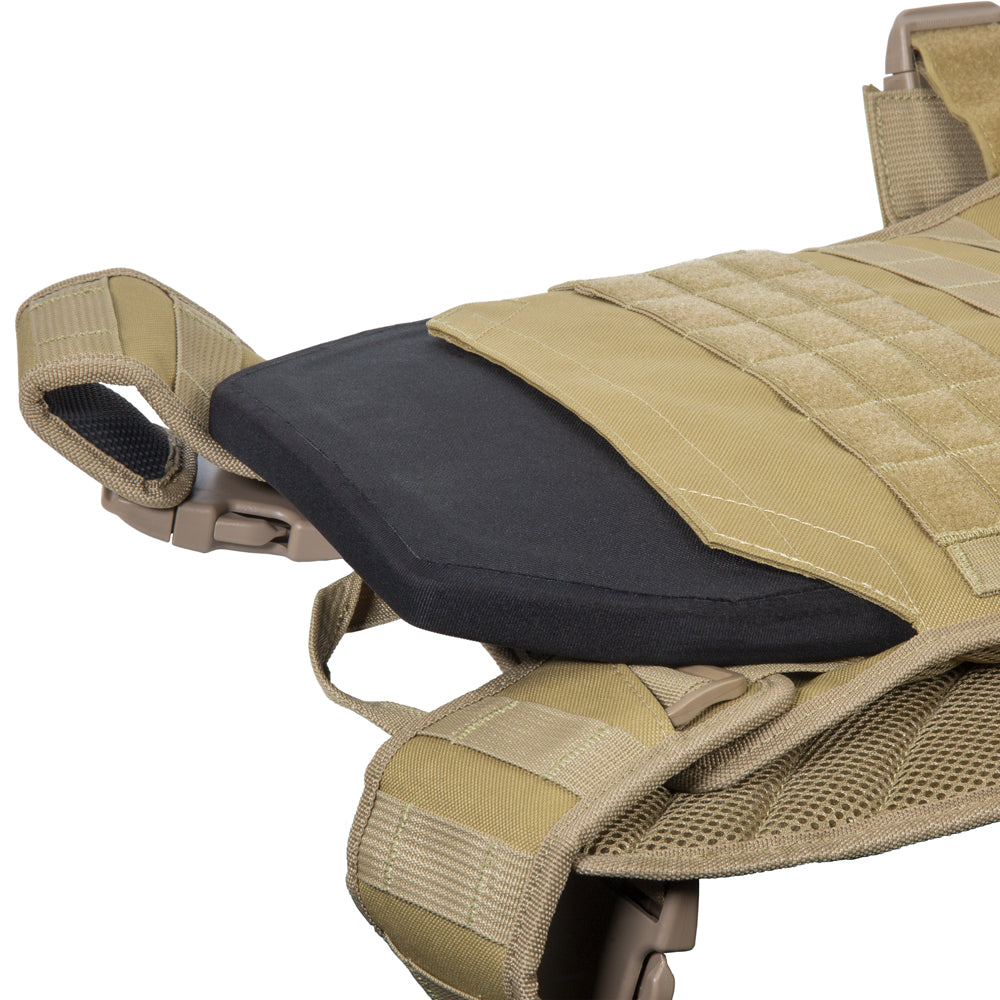 level 4 fde plate carrier